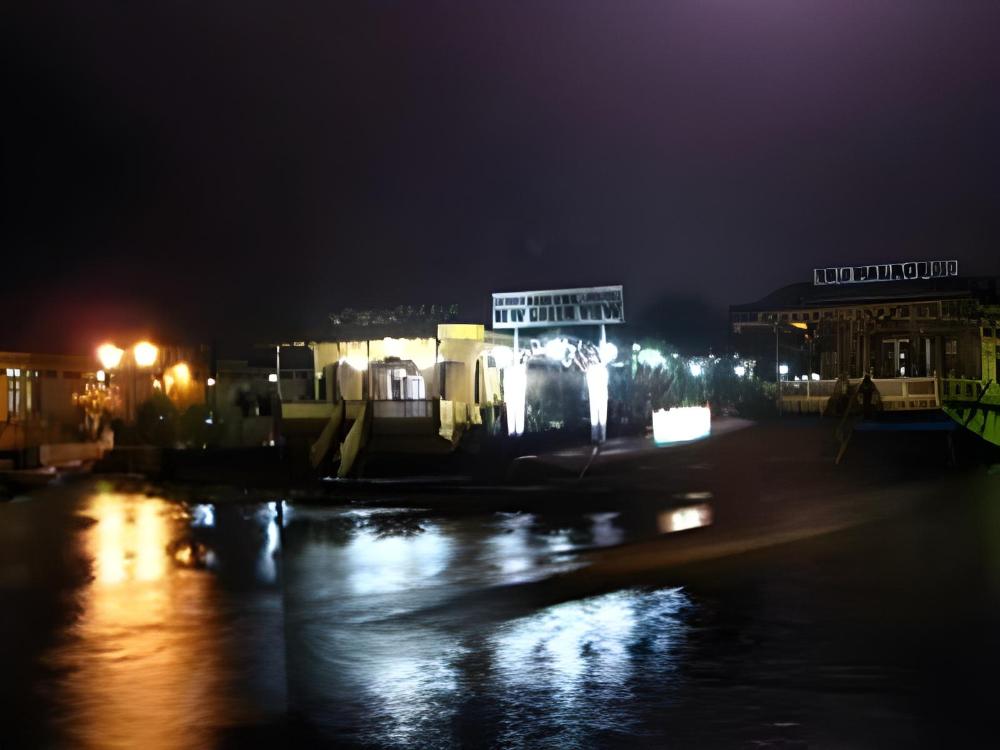 hotel new green view