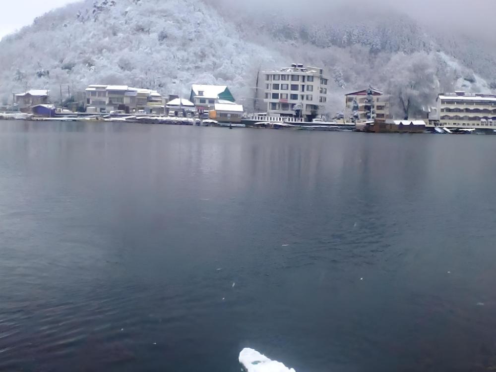 hotel new green view