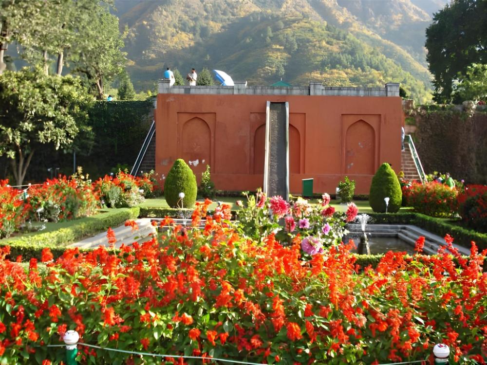 hotel new green view