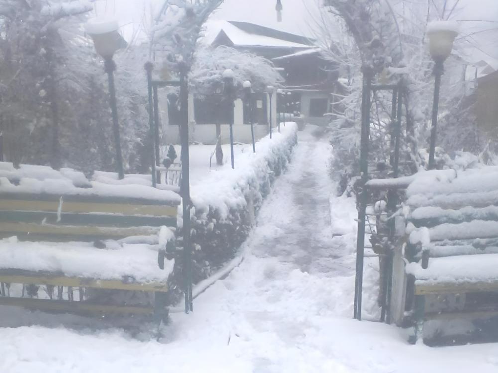 hotel new green view