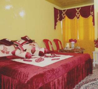 hotel new green view