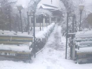 hotel new green view