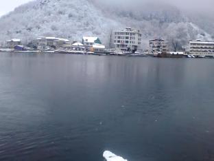 hotel new green view