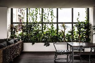 the establishment kl sentral bangsar by plush