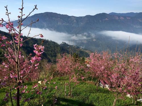 sheipa jia cao leisure farm