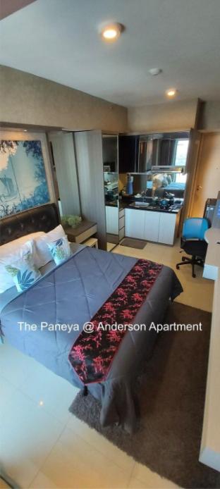 the paneya anderson apartment