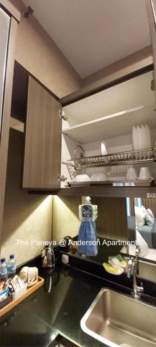 the paneya anderson apartment