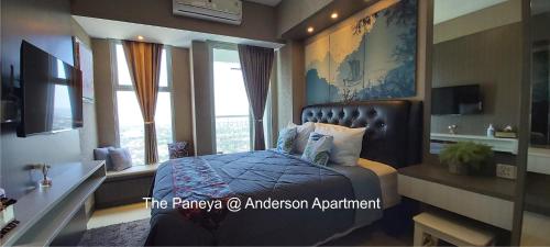 the paneya anderson apartment