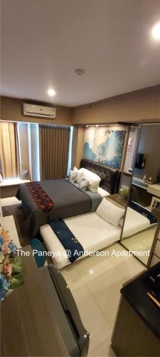 the paneya anderson apartment