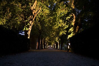 borgo di colleoli resort