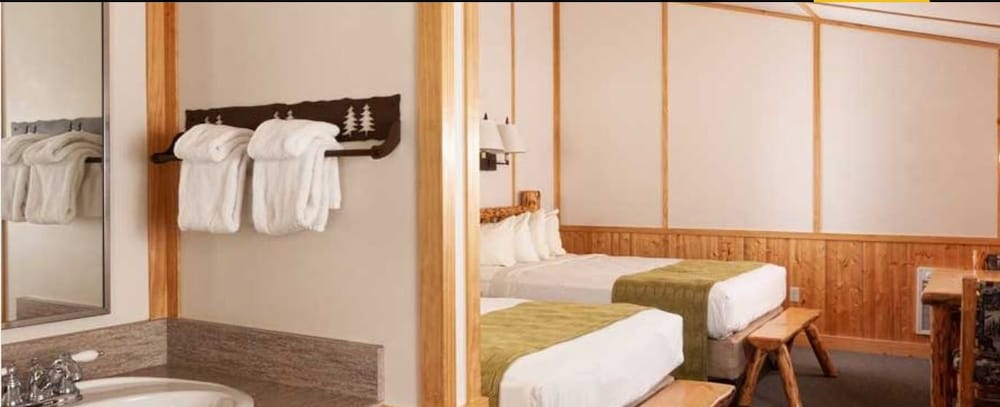 yellowstone national park