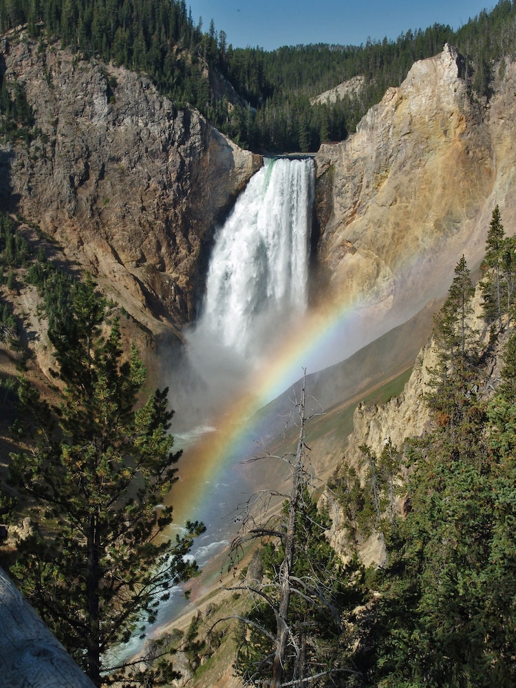 yellowstone national park
