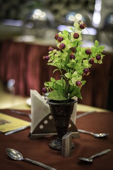 shree mohan villas heritage hotel