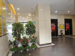 7 days premium chenzhou xinglong pedestrian stree