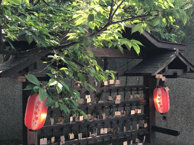 yanminshan jia xin hot spring resort