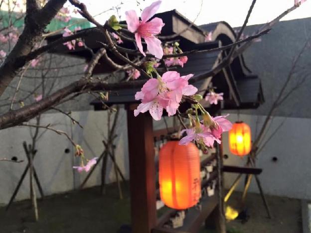 yanminshan jia xin hot spring resort