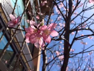 yanminshan jia xin hot spring resort