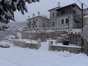 monodendri