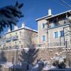 monodendri