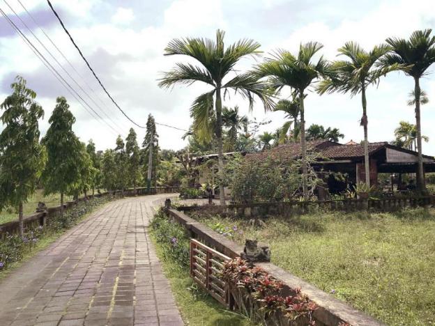 uma dana ubud