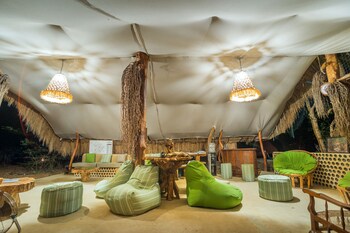 leopard safaris yala