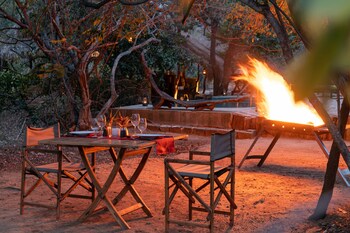 leopard safaris yala