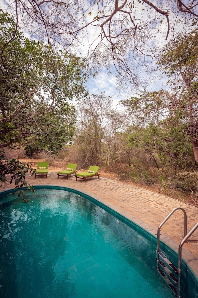 leopard safaris yala