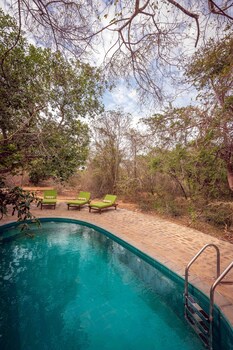 leopard safaris yala