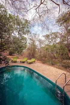 leopard safaris yala