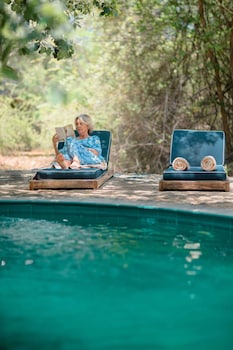 leopard safaris yala