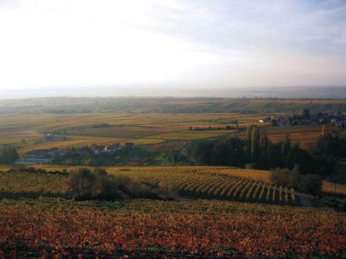 burrweiler