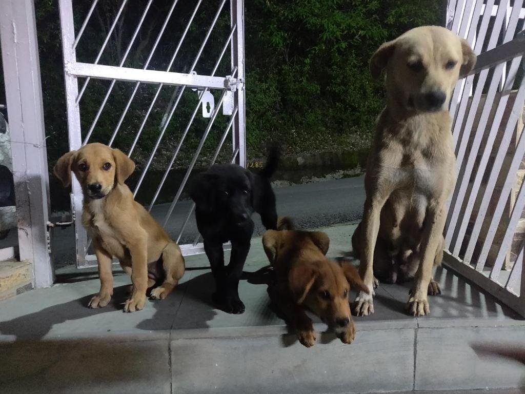 vatsalyam homestay