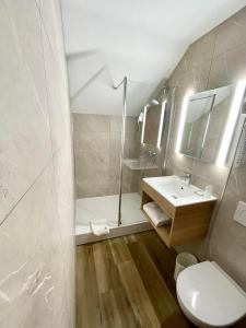 la roche sur foron