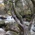 la roche sur foron