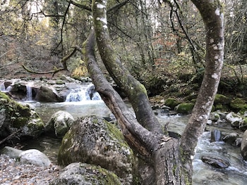 la roche sur foron