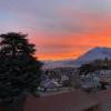 la roche sur foron