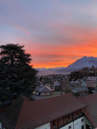 la roche sur foron