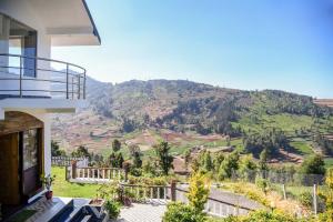 ooty