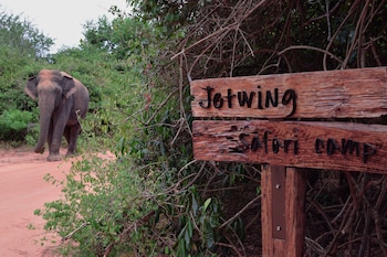 jetwing safari camp