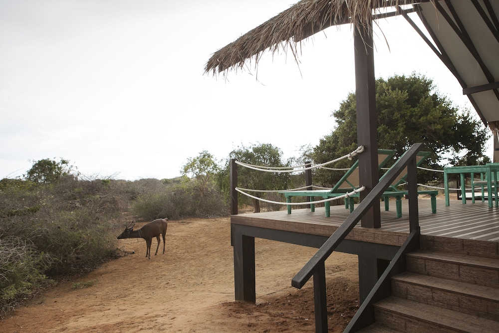 jetwing safari camp
