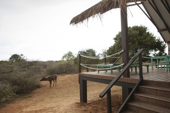 jetwing safari camp