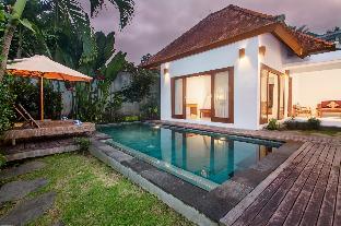 de metra villa ubud