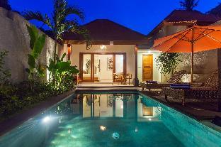 de metra villa ubud