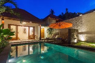 de metra villa ubud