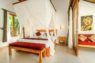 de metra villa ubud