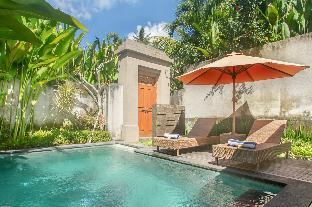 de metra villa ubud