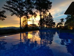 the balcone hotel and resort