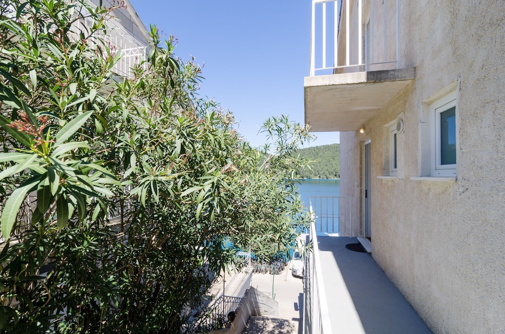 mljet