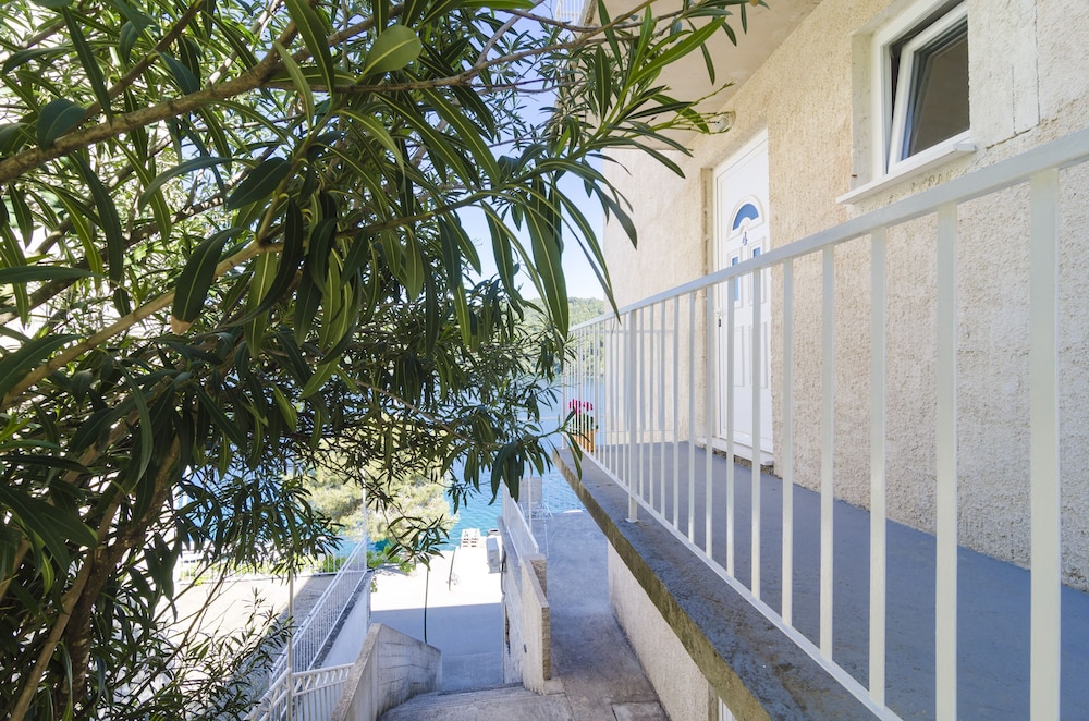 mljet