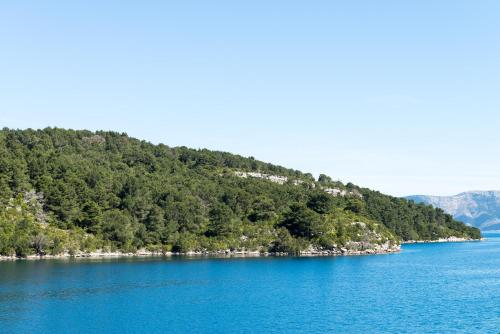 mljet